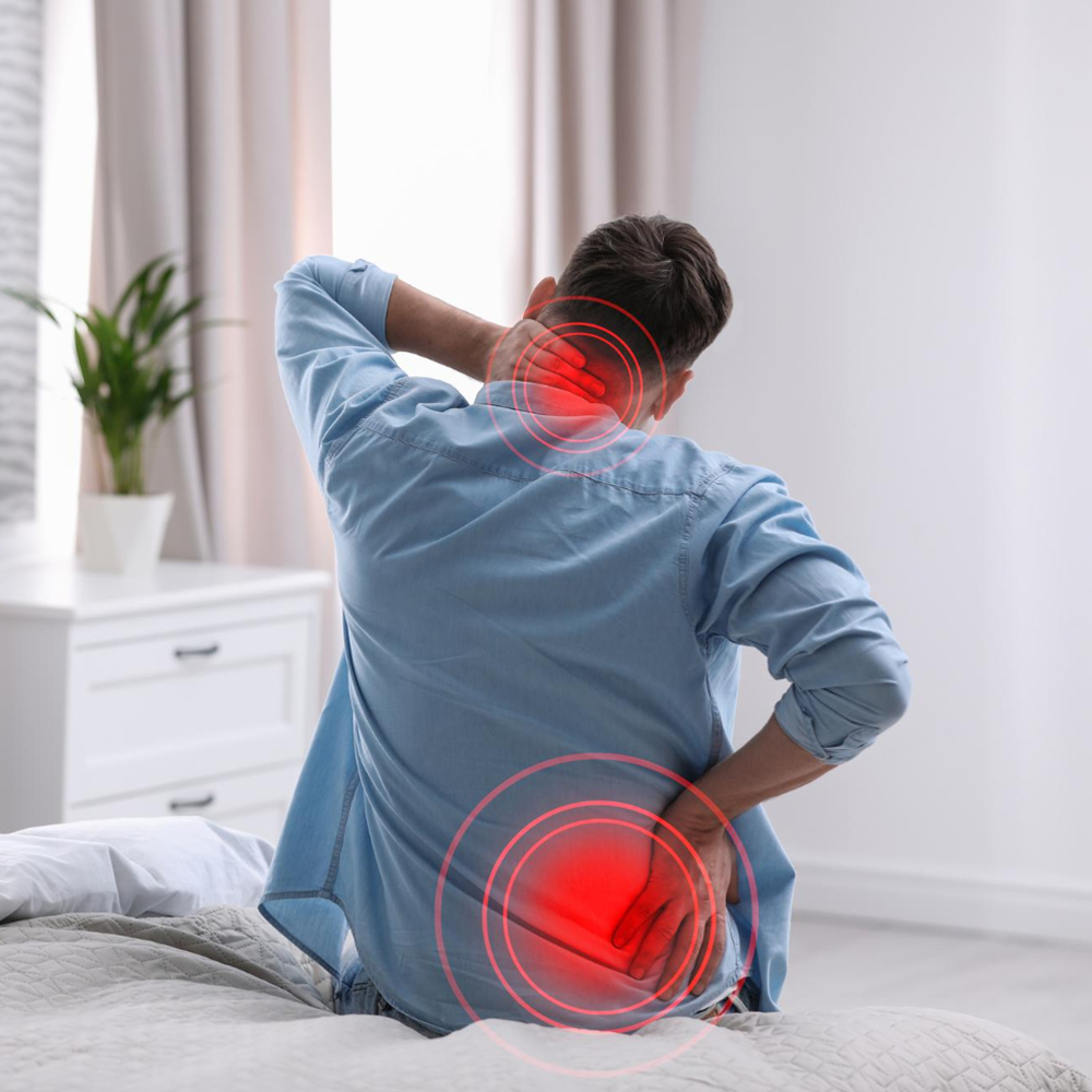Causes of back pain